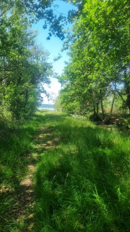 Cocon Du Lac Mobilhome 3 Chambres,6 Pers,Camping Mayotte 5 Etoiles Biscarrosse Landes Εξωτερικό φωτογραφία